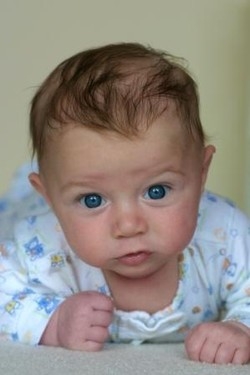 Andrew James Regenold Andrew James Regenold